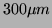 $ 300 \mu m$