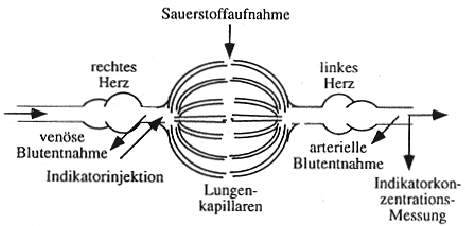 \begin{figure}\begin{center}
\epsfig{file=bild4-14.eps, height=50mm} \par\end{center}\end{figure}