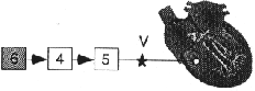 \begin{figure}\begin{center}
\epsfig{file=bild7-4.eps, height=20mm} \par\end{center}\end{figure}