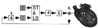 \begin{figure}\begin{center}
\epsfig{file=bild7-13.eps, height=20mm} \par\end{center}\end{figure}