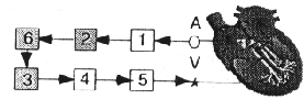 \begin{figure}\begin{center}
\epsfig{file=bild7-17.eps, height=20mm} \par\end{center}\end{figure}