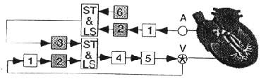 \begin{figure}\begin{center}
\epsfig{file=bild7-26.eps, height=25mm} \par\end{center}\end{figure}