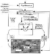 \begin{figure}\begin{center}
\epsfig{file=bild7-50.eps, height=40mm} \par\end{center}\end{figure}