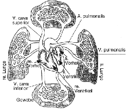 \begin{figure}\begin{center}
\epsfig{file=kap3-1.eps, height=50mm} \end{center}\end{figure}