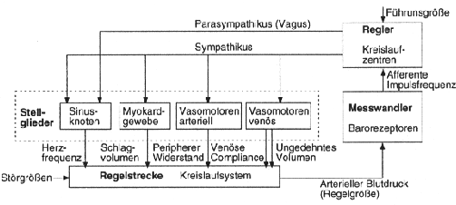 \begin{figure}\begin{center}
\epsfig{file=kap3-15.eps, height=50mm} \end{center}\end{figure}
